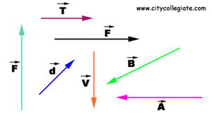 Vectors-Quantities-01-goog