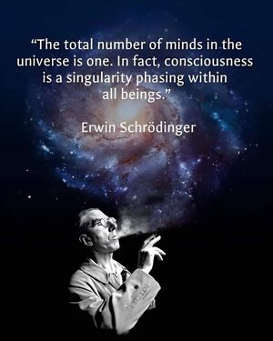 Erwin Schrodinger  