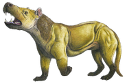 Мегистотерий (лат. Megistotherium osteothlastes)