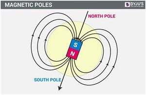 Poles-01-goog