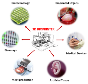 Bioprinting-04-goog