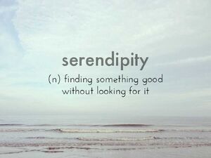 Serendipity-01-goog