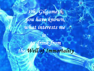 Immortality-Gilgmesh-well-01-goog