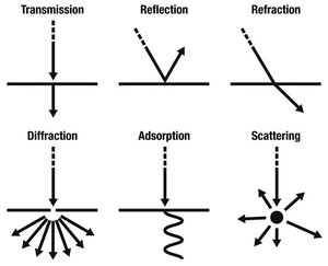 Light-behavior-01-goog