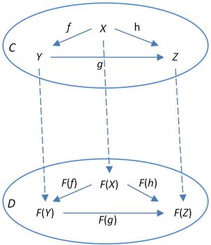 Functor-01-goog