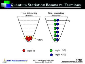 Bosons-Fermions-02-goog