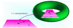 Manifolds-Projection-02-goog