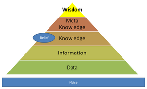 Data-Information-Wisdom-03-goog