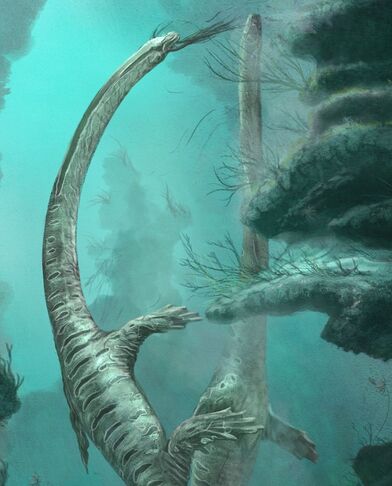 Dinocephalosaurus