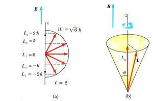 Spin-angular-momentum-10-goog