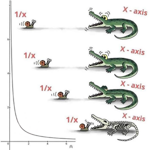 Asymptote-humor-01-goog