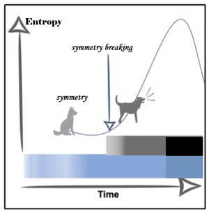 Dog-Entropy-Symmetry-breaking-01-goog