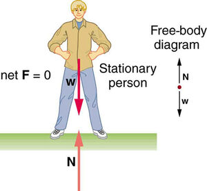 Observers-Stationary-01-goog