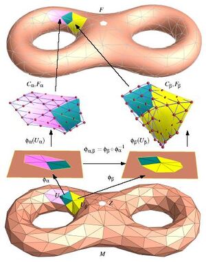 Manifolds-03-goog