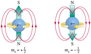 Spin-Electron-03-goog