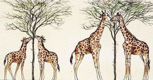 Evolution-giraffe-01-goog