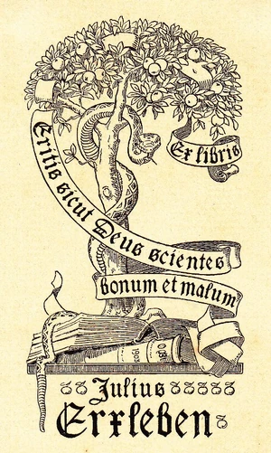  Γένεση

For God knows that  when you eat from it  your eyes will be opened,  and you will be like God, conscious of Good and Evil
