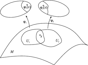 Topology-Chart-goog