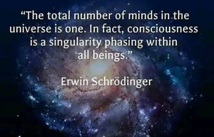 Erwin Schrodinger 