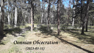 Oonnian-Obcecration-01-goog