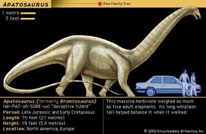 DinosaurusesApatosaurus-goog