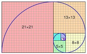 Spiral-Fibonacci-01-goog