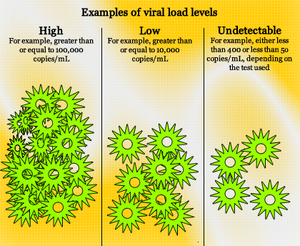 Viral-load-01-goog