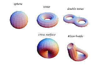 Manifolds-01-goog