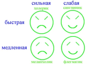 Четыре основных темперамента в зависимости от силы (сильная, слабая) и скорости (быстрая, медленная) волевого процесса и процесса чувствования