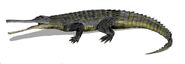Рутиодон (лат. Rutiodon)