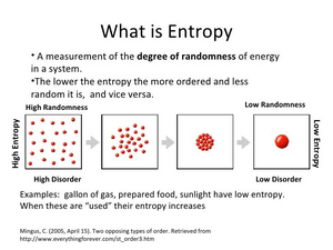 Entropy-order-02-goog