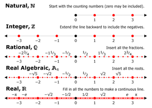 Embedding-numbers-goog