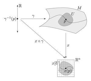 Curves-smooth-02-goog