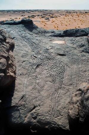 Petroglyphs-AirMasif-Niger-8000-BC-goog