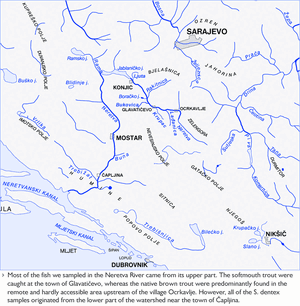 Maps-Balcan-Rivers-01-goog