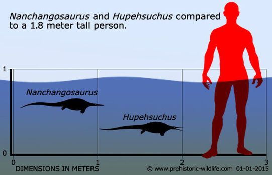 Scale 2400