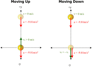 Motion-Straightline-FreeFall-01-goog