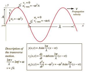 Waves-transerve-01-goog