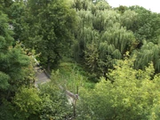 Житомир. Берег реки Тетерев.