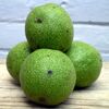 TetrNuts