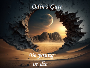 Gate-Odin-02-goog