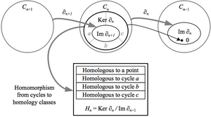 Algebra-Homology-01-goog