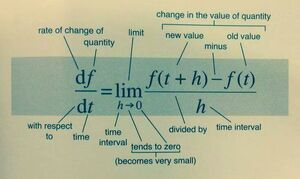 Differentiation-10-goog