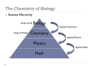 Sciences-Hierarchy-01-goog