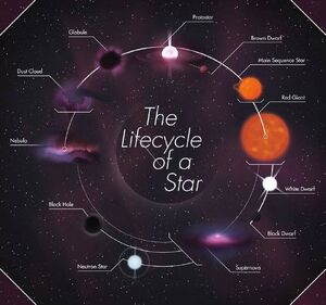 Star-Lifecycle-goog