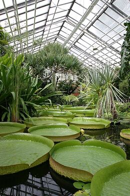 Botanischer-garten-jena-rs-786x512