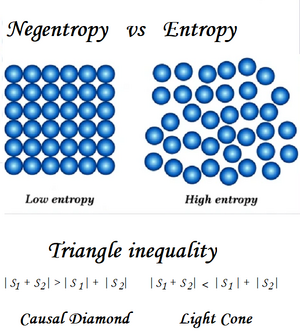 Negentropy-Entropy-triangle-inequality-01-goog
