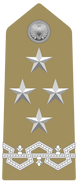 Rank insignia of generale of the Army of Italy (1973)