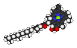 Chlorophyll-a-3D-vdW