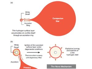 The-Nova-Mechanism